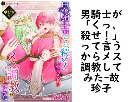 男騎士が「くっ、殺せ！」って言うからメス調教してみた（故珍子）【BL漫画】