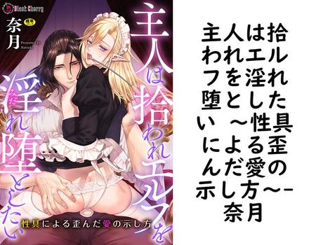 主人は拾われエルフを淫れ堕としたい 〜性具による歪んだ愛の示し方〜（奈月）【BL漫画の無料動画】
