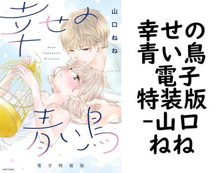 幸せの青い鳥 電子特装版（山口ねね）【TL漫画】